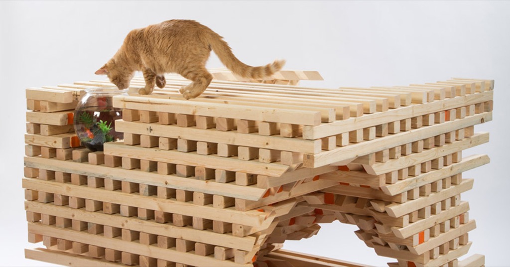 設計家居：別再買醜陋的貓屋了！來看看 Architects for Animals 2016 建築師設計的超美貓屋吧！
