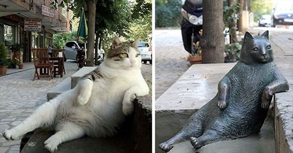還記得超可愛的悠閒胖貓嗎？雖然牠過世了，但有一萬七千名土耳其人為他請願立了銅像