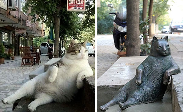 laid-back-cat-statue-tombili-istanbul-8
